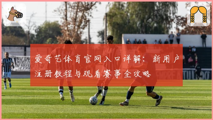 爱奇艺体育官网入口详解：新用户注册教程与观看赛事全攻略