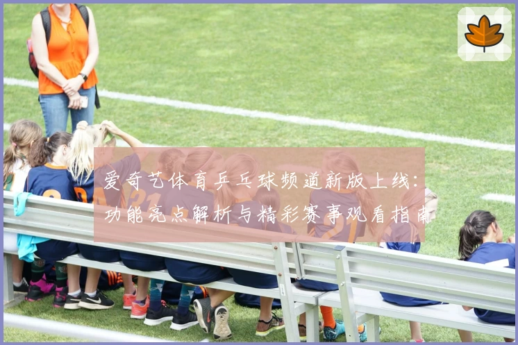 爱奇艺体育乒乓球频道新版上线:功能亮点解析与精彩赛事观看指南